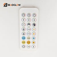 Neue Innovation 2025 Großhandel 24-Tasten Kabelloser Zweifarbiger RF-Lauflicht-LED-Mini-CCT-LED-Mini-DC-Lichtstreifen-Dimmer RF-Controller