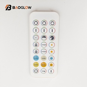 นวัตกรรมใหม่ 2025 ขายส่ง รีโมทไร้สาย 24 ปุ่ม สองสี ไฟ LED วิ่งได้ รีโมท RF ควบคุมไฟ LED ขนาดเล็ก แถบไฟ DC ขนาดเล็ก พร้อมตัวหรี่ไฟ - Product Image 5