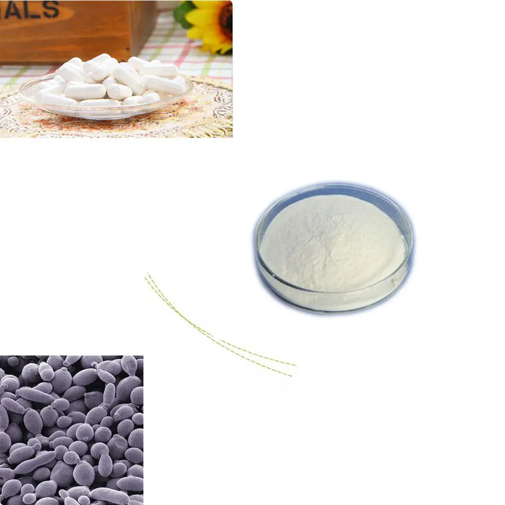 셀레늄 농축 효모 2000 mcg 유기농 셀레늄 식품 등급