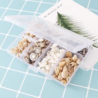 Environ 100 pièces/boîte coquillages de plage en coquille de conque naturelle mélangée pour la décoration de la maison bricolage