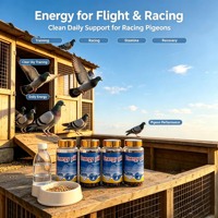 Pilules énergétiques pour pigeons, complément énergétique pour pigeons de course, booster d'endurance et de résistance, anti-fatigue, additif alimentaire pour pigeons de compétition