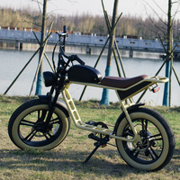 Vélo électrique à gros pneus, moteur arrière 48V, batterie lithium interchangeable 16Ah, vélo tout-terrain électrique