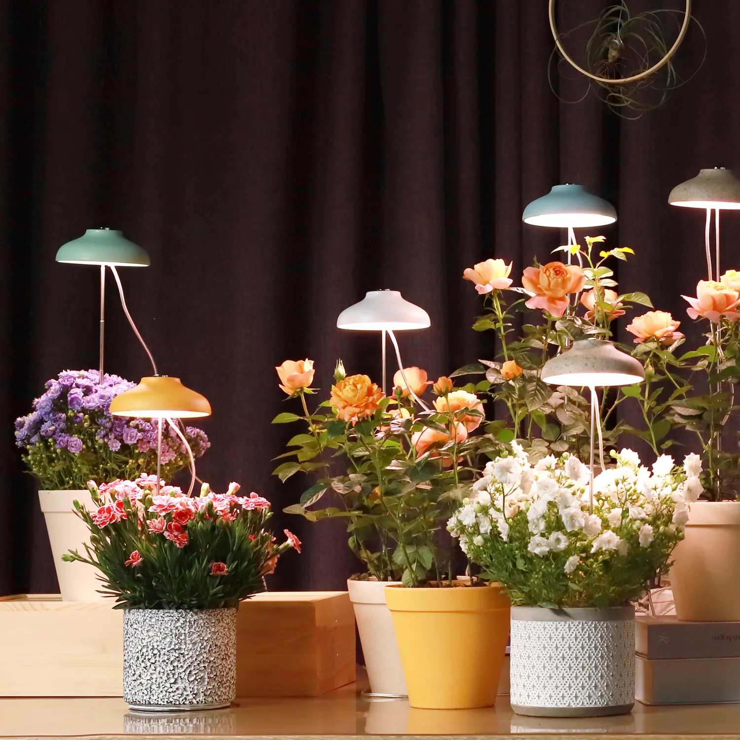 J&C Minigarden Charloe grow light led indoor plants hydroponic home decoration and garden smart garden grow plant light