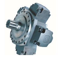 Motor Piston Radial DenisonCalzoni MR600-MR700-MR1100-MR1600-MR1800-MR2400-MR2800-MR3600-MR4500-MR6500-MR7000 210