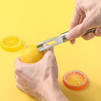 Fruit- en groenteschiller van roestvrij staal, citroenschiller, rasp, kaasschaafmes, pomelo- en sinaasappelschiller