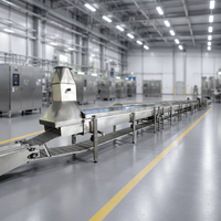 Machine à Nouilles Entièrement Automatique Mini Sans Friture en Acier Inoxydable avec Moteur Certifié CE - Offre Spéciale