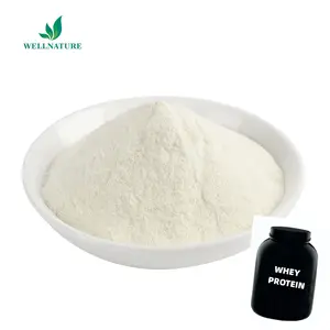 Sport Supplement Whey Protein Concentrate Whey Protein Powder