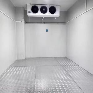 Chambre froide modulaire commerciale à panneaux isolés pour entrepôt alimentaire et pharmaceutique - Product Image 3