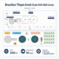 RAS Aquakultur-Ausrüstung Fischzuchtsystem Sauerstoff-Konus-Trommelfilter PP-Material APP-Steuerung Hochdichte Tilapia-Aquakultur