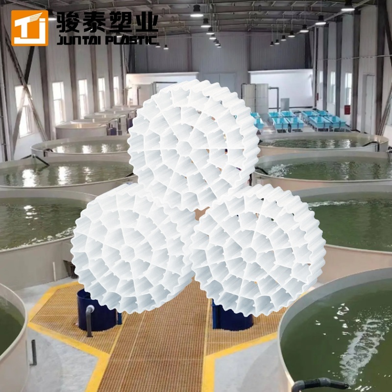 Top Selling Bio Media Nitrate Removal