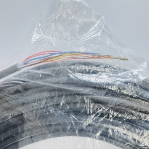 Câble de connexion du contrôleur principal KEYENCE GL-RCG03S pour grille de sécurité série GL-R, 0,3 m, GL RCG03S - Product Image 6