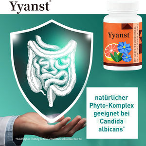 Cápsulas de Cúrcuma de Marca Privada con Semilla de Pomelo y Semilla de Pasto Negro para Promover la Digestión y Mejorar el Sistema Inmunológico - Product Image 2