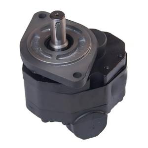 Pompe hydraulique LG30F.02.02.01 pour machines de manutention - Product Image 2