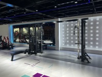 Equipo de Gimnasio Comercial Profesional, Estación de Fitness Multifuncional de 5 Puestos, Acero Inoxidable, para Ejercicios de Pecho, Tríceps y Piernas