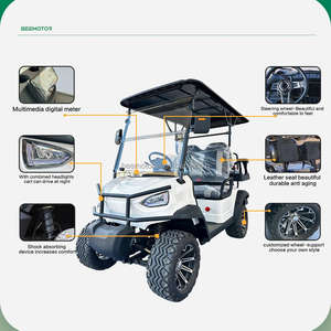 <span class=keywords><strong>Voiture</strong></span> électrique pour adultes, mini camion électrique, voiturette de golf électrique fermée, <span class=keywords><strong>voiture</strong></span> électrique vintage, mini-<span class=keywords><strong>voiture</strong></span> - Product Image 2