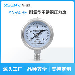 Manomètre en acier inoxydable Suzhou Xuan Sheng, 60 mm, analogique, 0 à 1,6 Mpa, connexion filetée YN60BF - Product Image 3