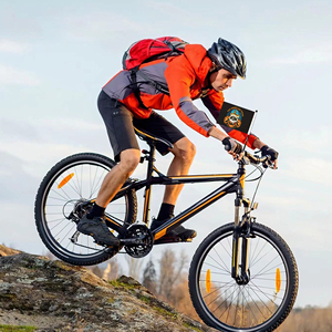 Wholesale Custom 6x8inch Happy Halloween Bicycle <b>Flags</b> Banners Digital Printed with Screw Plastic Flagpole - Product Image 6