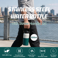 Bouteille d'eau isotherme en acier inoxydable de qualité supérieure 500 ml, gourde sport élégante bicolore avec poignée