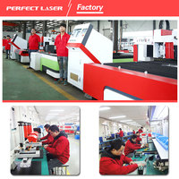 Perfect Laser - Nueva Tendencia en Impresoras Industriales de Micropercusión, Potente Software, Fecha Automática, Número de Serie para Código VIN, Piezas de Motor PEQD-100
