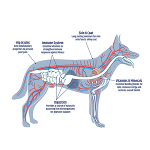 Multivitamínico Masticable para <span class=keywords><strong>Perros</strong></span> con Glucosamina, <span class=keywords><strong>Vitaminas</strong></span> y Suplementos para <span class=keywords><strong>Perros</strong></span>, Multivitamínico para Cachorros Mayores, Soporte para las Articulaciones de la Cadera de los <span class=keywords><strong>Perros</strong></span> - Product Image 4