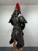 Manteau de soldat chinois ancien pour homme, costume de guerrier noir, plume rouge, casque de bête dorée, reconstitution historique