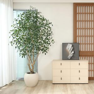 Venta Directa <span class=keywords><strong>de</strong></span> Fábrica, <span class=keywords><strong>Macetas</strong></span> Decorativas <span class=keywords><strong>de</strong></span> Plástico <span class=keywords><strong>de</strong></span> Diseño <span class=keywords><strong>de</strong></span> Lujo y Alta Calidad, <span class=keywords><strong>Macetas</strong></span> Grandes <span class=keywords><strong>de</strong></span> <span class=keywords><strong>Resina</strong></span> Plástica para Uso en Interiores/Exteriores - Product Image 3