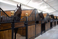 Marcheur de chevaux de haute qualité à bas prix 4 à 10 chevaux Exerciseur Machine d'entraînement d'opération simple