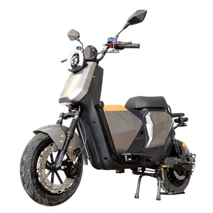 Roller Livreur Roller oder Mopeds Elektro moped zwei Fahrrad Motorräder