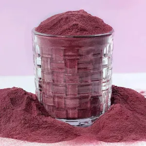 Nature FD Freeze-dried Fruit FD Freeze Dried Blueberry Powder