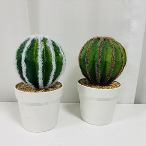 <span class=keywords><strong>Cactus</strong></span> Artificial en Maceta de Plástico de 20 cm de Alto para Decoración del Hogar, Escritorio, Plantas Verdes Duraderas Resistentes a Caídas, Bodas, Navidad - Product Image 5