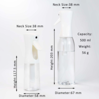 Bouteille de pulvérisation continue personnalisée en forme de cylindre, 300 ml, en plastique PET recyclable, atomiseur à fine brume, pour salon de coiffure, coiffage professionnel