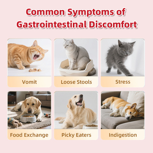 Probiotico gocce di puro liquido Pet integratore alimentare liquido probiotico <span class=keywords><strong>per</strong></span> <span class=keywords><strong>cani</strong></span> e gatti con enzimi digestivi - Product Image 4