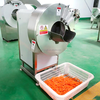 300 kg/uur plantainchipsmachine, bananen snijmachine, groentesnijmachine, industriële groentesnijder, aardappelsnijder