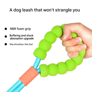 Correa para Perro con Logotipo Personalizado OEM, Correa para Mascotas con Mango de Cuentas, Nailon Resistente para Perros Pequeños y Medianos - Product Image 3