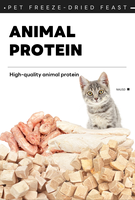 Friandises pour chats : Mélange de légumes et de fruits lyophilisés, poitrine de poulet avec carotte, patate douce violette et canneberge