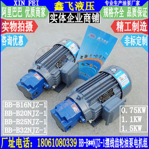 Unidad de Motor de Bomba de Aceite de Engranajes Cicloides BB-B16NJZ-1 B20NJZ B25NJZ B32NJZ con Bombas Hidráulicas de Eje Interno - Product Image 3