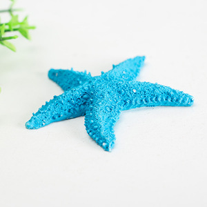 Décorations d'étoiles de mer en résine naturelle, 6 pièces, ornements colorés pour aquarium, autocollants muraux imperméables pour aquarium, style méditerranéen - Product Image 3