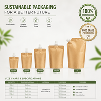 Pochette à bec verseur en papier kraft biodégradable, sac d'emballage liquide écologique à fond plat pour jus et sauces, vente en gros OEM