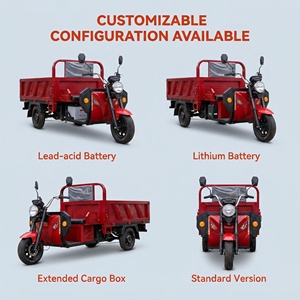 Triciclo Eléctrico de 1000W, 400kg de Carga Pesada, Plataforma Abierta, Motocicleta de Carga de 3 Ruedas para Transporte de Adultos y Entregas - Product Image 3