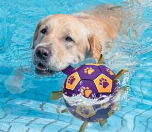 Großhandel Mode Haustier Fußball Hundes pielzeug Hund Kauen Spielzeug Ball Private Label Hundes pielzeug - Product Image 1