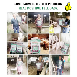 MUYUE - Potenciador del Crecimiento de Cerdos de Alta Calidad, 03, Polvo Vegetal Sustituto de Leche para Terneros, Potros, Corderos y Cachorros, Rico en Proteínas Lácteas y Vitaminas - Product Image 6