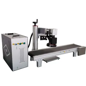 CCD camera Visual automatic positioning fiber laser marking engraving machine with automatic belt for Reagent test kit