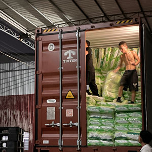 Commercio all'ingrosso pantaloni impermeabili stile pantaloni Pull-up pannolini usa e getta pantaloni per adulti tessuto Non tessuto stampato <span class=keywords><strong>a</strong></span> secco - Product Image 1