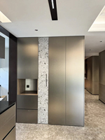Panneau de plafond en laiton ignifuge H41 en acier inoxydable brossé pour bâtiments commerciaux