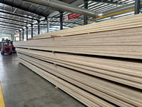 Fuqing SLVL E15-2 First-Class LVL Structural Timber Beams (AS/NZS 4357)-Multi-Layered Radiata Pine Eucalyptus Robusta Core Water