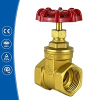 Vanne à opercule à ouverture totale NRS en laiton avec filetage interne BSP et revêtement anti-usure pour eau potable