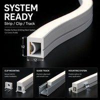 Bande lumineuse néon 120 LED/m multi-CCT, 12*12mm, émettant sur le côté, flexible, en silicone laiteux, IP65, DC12/24V, avec fixation complète par clip sur rail USB