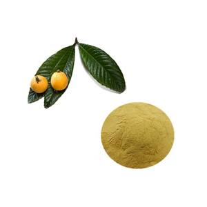 ZD Venda Quente Néspera Deixa Extrato Em Pó 10:1 Folha 20% Ácido Ursólico - Product Image 4