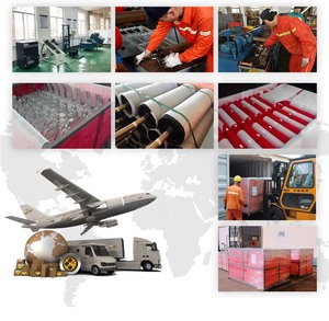 Con lăn băng tải nhỏ bằng thép không gỉ với bánh xích nhỏ cho hệ thống trọng lực và vành đai - Product Image 6