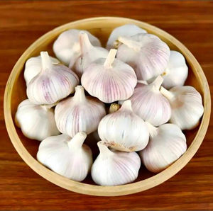 <span class=keywords><strong>Ail</strong></span> blanc pur frais et <span class=keywords><strong>ail</strong></span> tressé de qualité supérieure certifié ISO/HACCP, nouvelle récolte 2026 du Shandong, Chine, <span class=keywords><strong>en</strong></span> vente chaude - Product Image 4